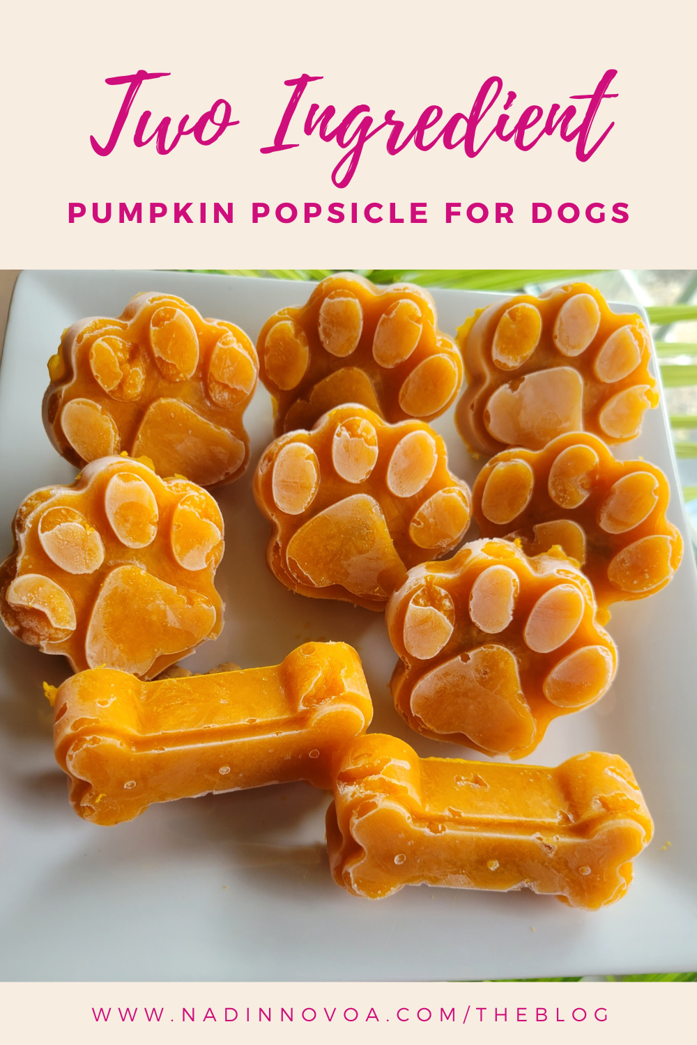 Dog Popsicles Treats a Two Ingredient Recipe