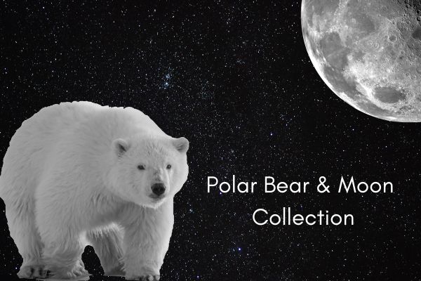 Moon and Polar Bear Jewerly Collection